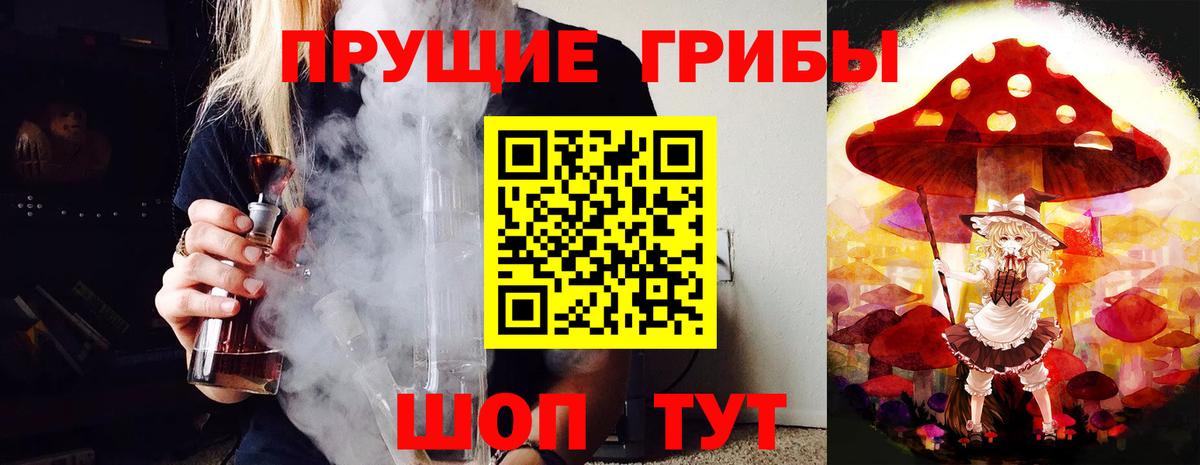Псилоцибиновые грибы мухоморы  Галлюциногенные грибы ЛСД  Курчалой  Вход с VPN 