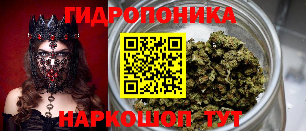 Конопля LSD WEED Курчалой